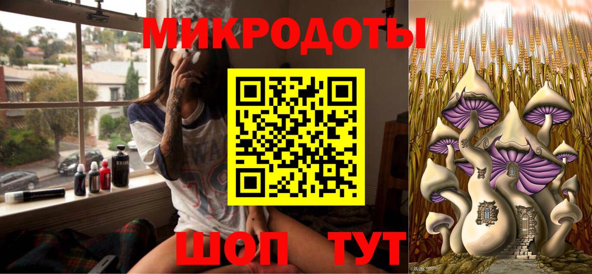 Галлюциногенные грибы Cubensis Волхов